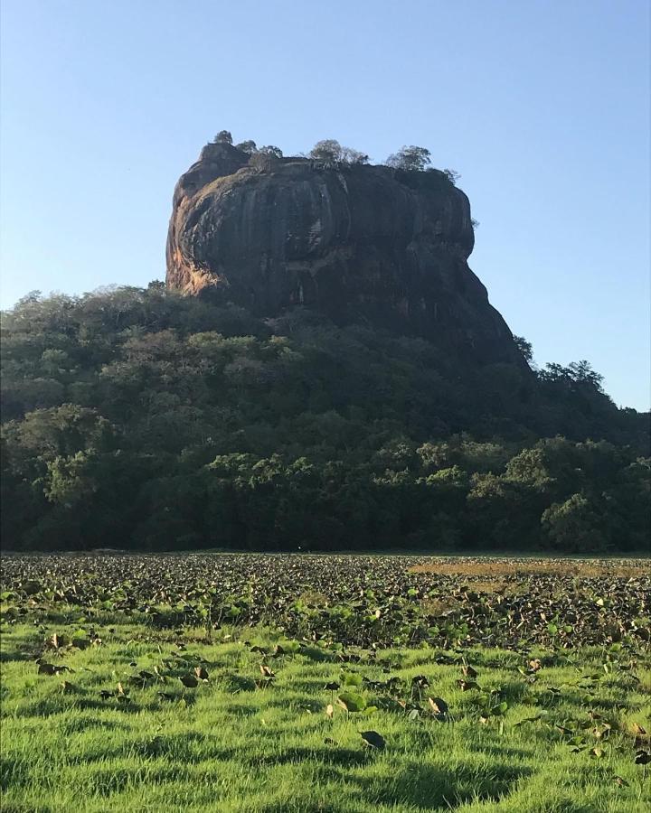 second home hostel Sigiriya Exterior foto